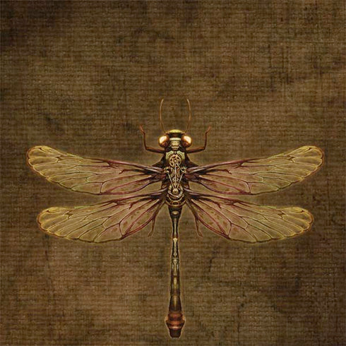 Brigid Ashwood Steampunk & Gear Dragonfly Galaxy Note 8 Skin