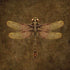 Brigid Ashwood Steampunk & Gear Dragonfly iPhone X Skin