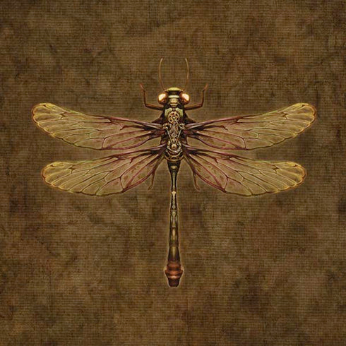 Brigid Ashwood Steampunk & Gear Dragonfly iPhone XR Pro Case