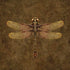 Brigid Ashwood Steampunk & Gear Dragonfly iPhone XR Skin