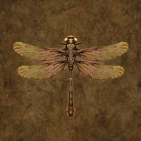 Brigid Ashwood Steampunk & Gear Dragonfly iPhone XS Max Skin