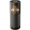 Brigid Ashwood Steampunk Bee Amazon Echo Skin