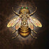 Brigid Ashwood Steampunk Bee Galaxy Note 8 Skin