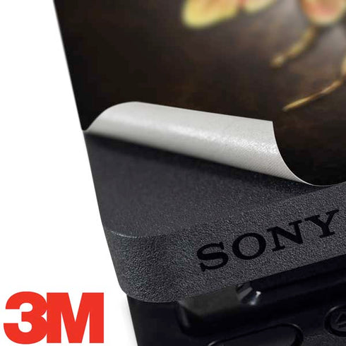 Brigid Ashwood Steampunk Bee PS4 Pro Bundle Skin