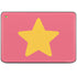 Cartoon Network Steven Universe Steven Universe Star HP Chromebook Skin