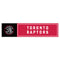 NBA Toronto Raptors 11" x 3" Bumper Sticker