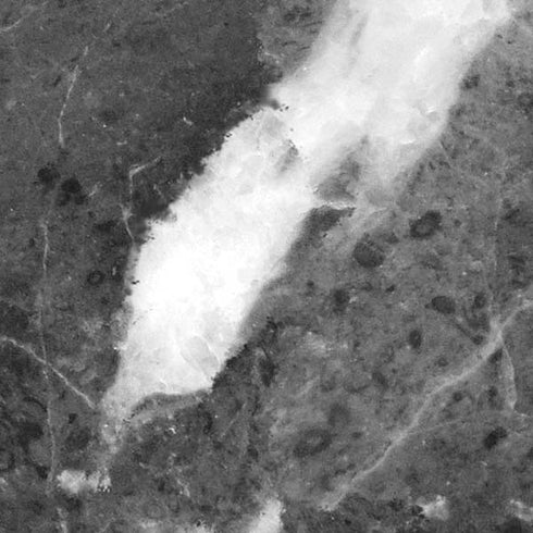 Stone Grey iPhone XS Max Skin