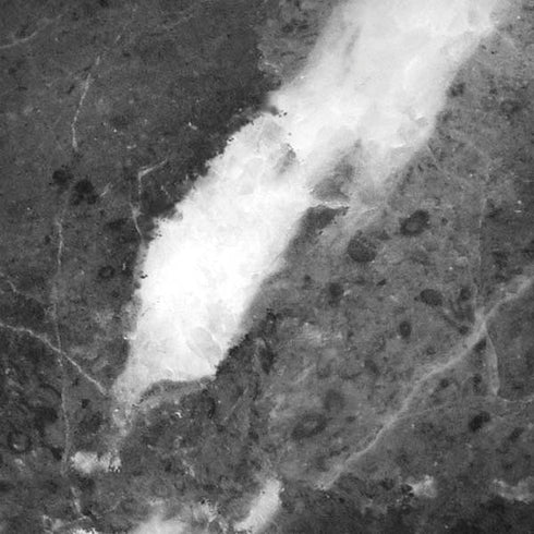 Stone Grey Moto G6 Skin