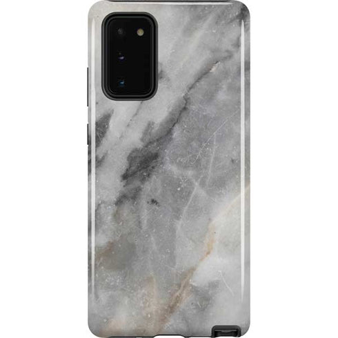 Stone Taupe Galaxy Note20 5G Pro Case