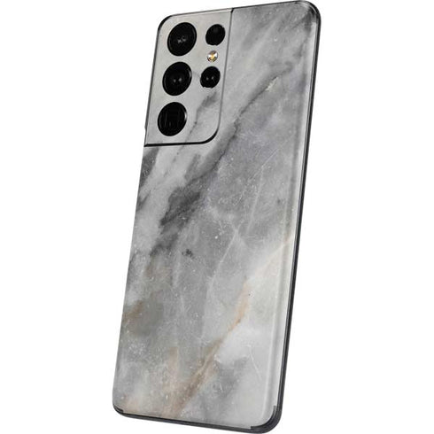 Stone Taupe Galaxy S21 Ultra 5G Skin