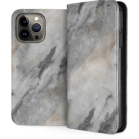Stone Taupe iPhone 14 Pro Max Folio Case