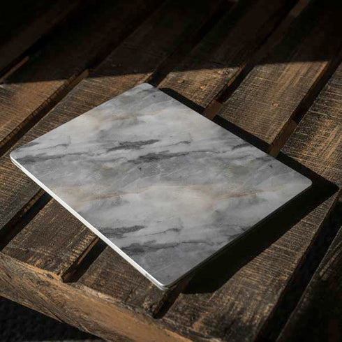 Stone Taupe Surface Laptop 2 Skin