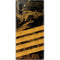 Striped Marble Galaxy Note 10 Plus Skin