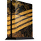 Striped Marble PS4 Console Skin