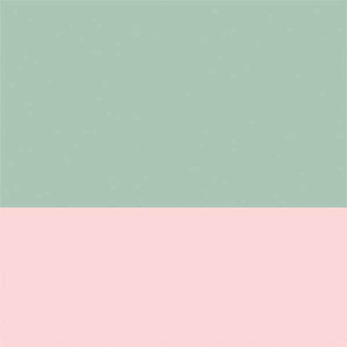 Striped Spring Colors Nintendo 2DS XL (2017) Skin