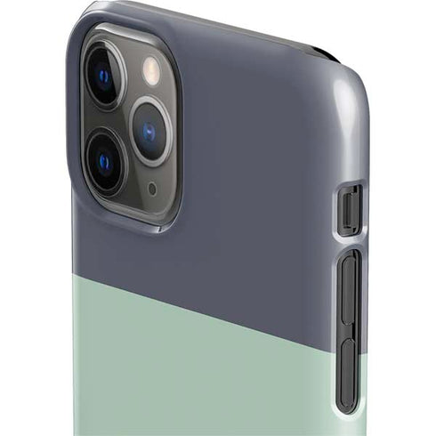 Striped Spring Colors iPhone 11 Pro Lite Case