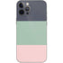 Striped Spring Colors iPhone 12 Pro Max Skin