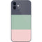 Striped Spring Colors iPhone 12 Skin