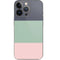 Striped Spring Colors iPhone 13 Pro Skin