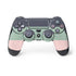 Striped Spring Colors PS4 Controller Skin
