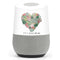 Succa For You Google Home Skin