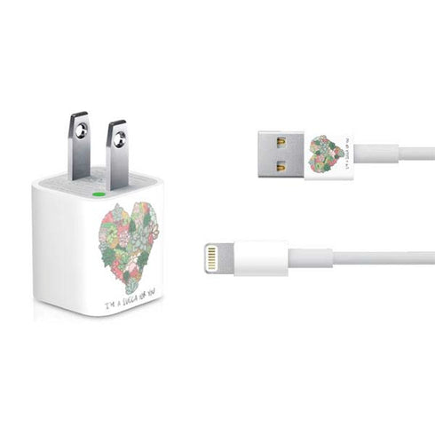 Succa For You iPhone Charger (5W USB) Skin