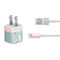 Succulent Sketch iPhone Charger (5W USB) Skin