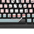 Succulent Sketch K95 RGB PLATINUM Mechanical Gaming Keyboard Skin