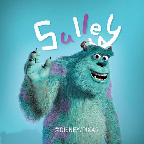 Disney Monsters Inc. Sulley Portrait Amazon Echo Skin