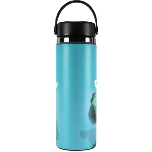 Disney Monsters Inc. Sulley Portrait Hydro Flask 20oz Wide Mouth Skin