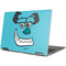 Disney Monsters Inc. Sulley Yoga 710 14in Skin