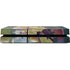 Georges Seurat Sunday Afternoon on the Island of La Grande Jatte PS4 Console Skin