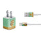 Vincent Van Gogh Sunflowers 1888 iPhone Charger (5W USB) Skin