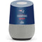 NFL Super Bowl LIII Champions Go Pats Google Home Skin