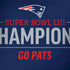 NFL Super Bowl LIII Champions Go Pats Legion Y720 Skin