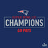 NFL Super Bowl LIII Champions Go Pats PS4 Controller Skin