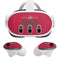 NFL Super Bowl LV Champions Tampa Bay Buccaneers Meta Quest 3 Skin