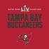 NFL Super Bowl LV Champions Tampa Bay Buccaneers Moto E5 Play Skin