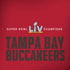 NFL Super Bowl LV Champions Tampa Bay Buccaneers Moto G6 Skin