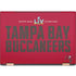 NFL Super Bowl LV Champions Tampa Bay Buccaneers HP Spectre Skin
