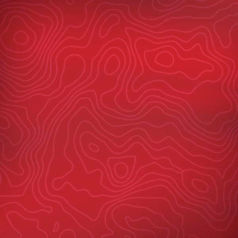 Switzerland Soccer Flag iPhone X Skin