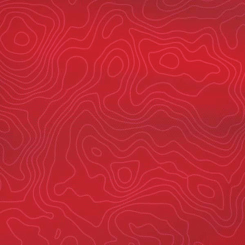 Switzerland Soccer Flag iPhone XS Max Skin