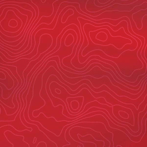 Switzerland Soccer Flag iPhone XS Skin