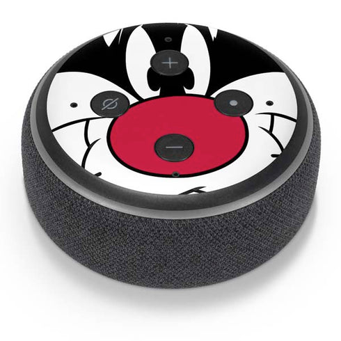 Looney Tunes Sylvester Amazon Echo Dot Skin