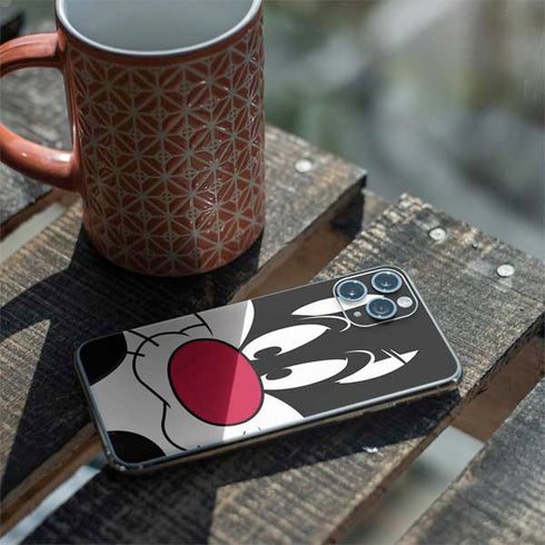Looney Tunes Sylvester iPhone 11 Pro Skin