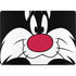 Looney Tunes Sylvester MacBook Pro 14in (2021-24) Skin