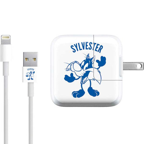 Looney Tunes Sylvester the Cat Big Head iPad Charger (10W USB) Skin