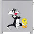 Looney Tunes Sylvester Tweety Bird Crossed Arms Corsair 4000D Tempered Glass Mid-Tower ATX Case Skin