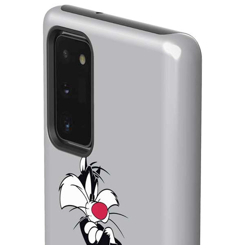 Looney Tunes Sylvester Tweety Bird Crossed Arms Galaxy Note20 5G Pro Case