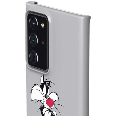 Looney Tunes Sylvester Tweety Bird Crossed Arms Galaxy Note20 Ultra 5G Lite Case
